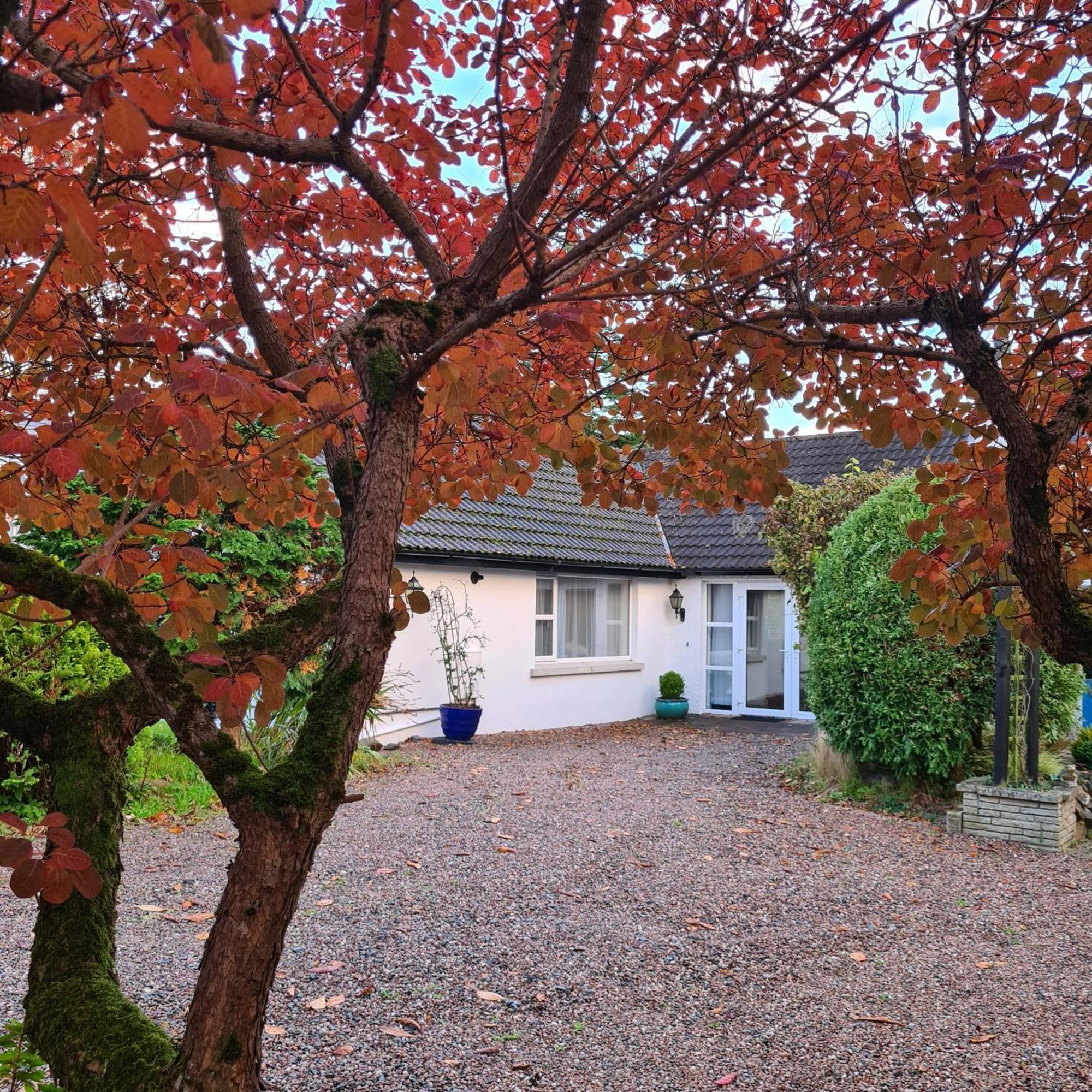 Nara Seaside Retreat Daire Cultra Dış mekan fotoğraf