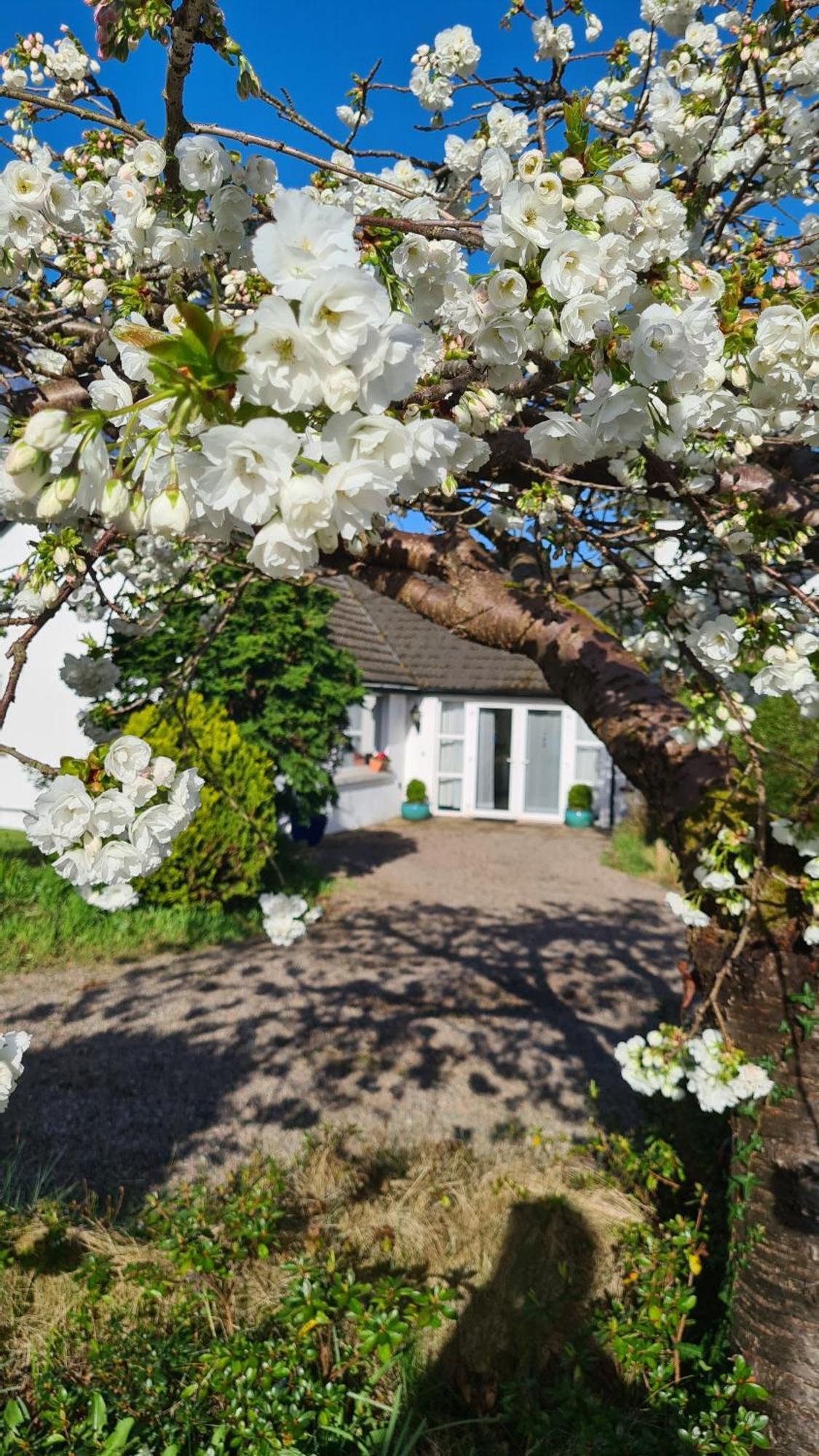 Nara Seaside Retreat Daire Cultra Dış mekan fotoğraf